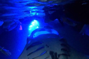 Kona Hi, solnedgångstur med mantor, max 10 passagerare