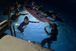 Kona Hi, solnedgångstur med mantor, max 10 passagerare