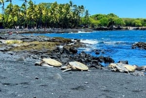 コナ：キラウエア山頂から海岸まで