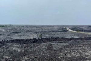 コナ：キラウエア山頂から海岸まで