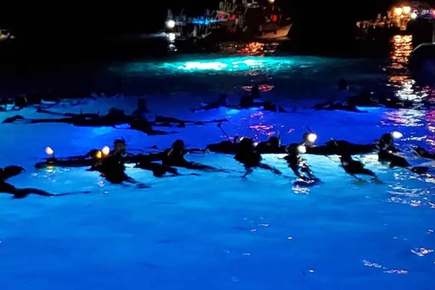 Kona: Manta Ray natt snorkeläventyr
