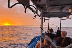 Kona: Mergulho noturno com raias-manta e vídeos gratuitos