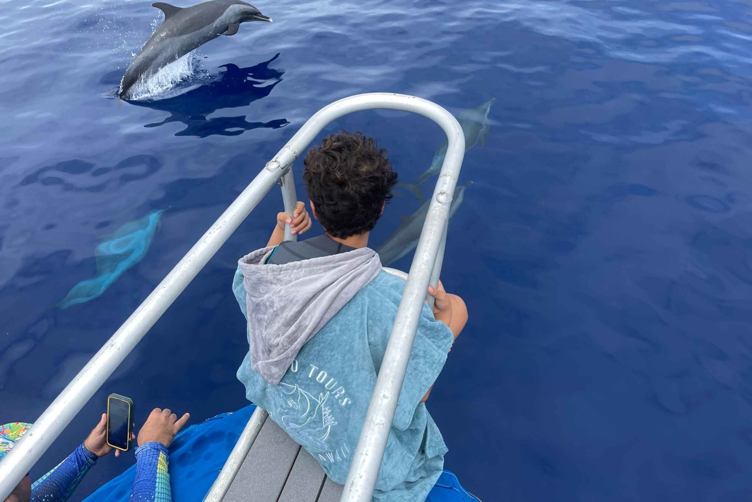 Kona: safari oceanico per piccoli gruppi con video subacquei