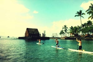 Kealakekua Baai: Stand-Up Paddleboard les of tocht