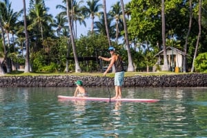 Kealakekua Baai: Stand-Up Paddleboard les of tocht