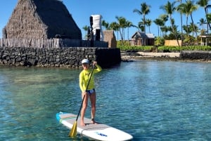 Kealakekua Baai: Stand-Up Paddleboard les of tocht
