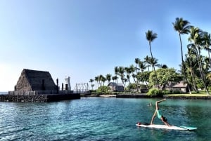 Kealakekua Baai: Stand-Up Paddleboard les of tocht