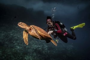 Lahaina: Discover Scuba Diving Class