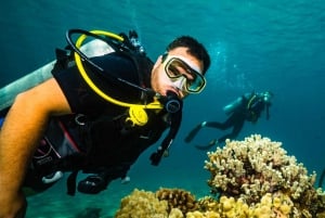 Lahaina: Discover Scuba Diving Class