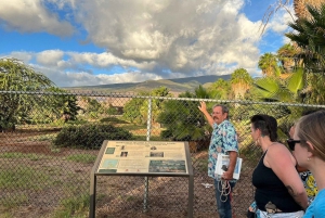 Lahaina: Haunted Walking Tour with Ghost Stories