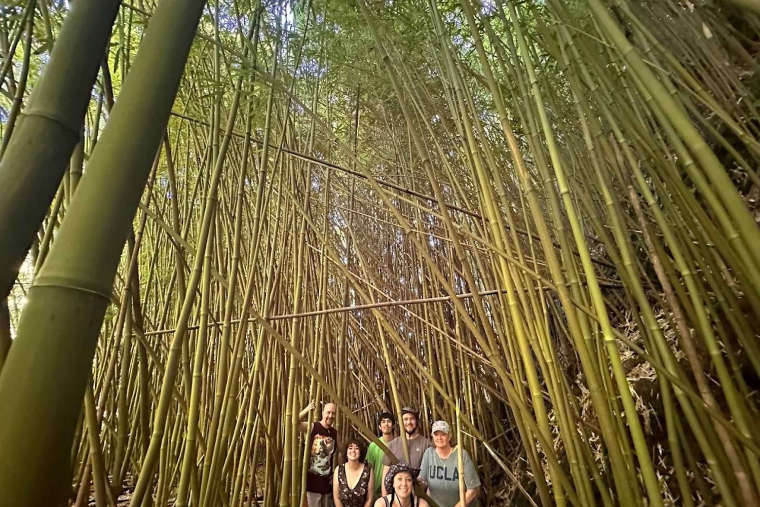 لاهينا-كابالوا جولة خاصة لكبار الشخصيات على الطريق إلى هانا لمدة يوم كامل