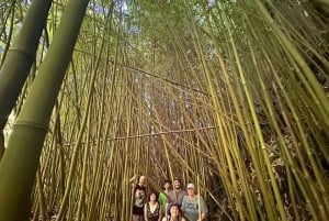 Lahaina-Kapalua: VIP Privat dagsutflykt från vägen till Hana