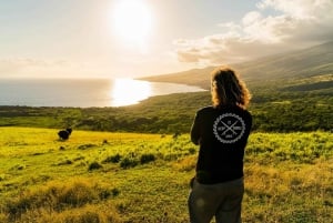 Lahaina-Kapalua: VIP Privat dagsutflykt från vägen till Hana