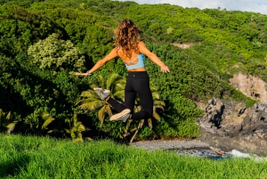 Lahaina-Kapalua: VIP Privat dagsutflykt från vägen till Hana