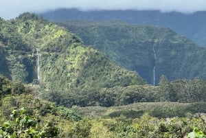 Lahaina-Kapalua: VIP Privat dagsutflykt från vägen till Hana