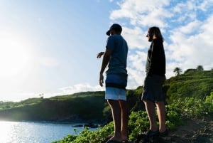 Lahaina-Kapalua: VIP Privat dagsutflykt från vägen till Hana