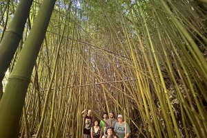 لاهينا-كابالوا جولة خاصة لكبار الشخصيات على الطريق إلى هانا لمدة يوم كامل