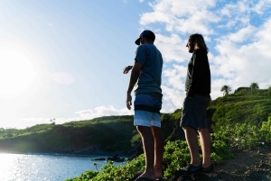 لاهينا-كابالوا جولة خاصة لكبار الشخصيات على الطريق إلى هانا لمدة يوم كامل