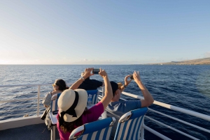From Lahaina: Sunset Dinner Cruise Aboard the Quicksilver