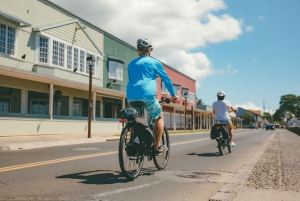 Lahaina: West Maui eBike Rental