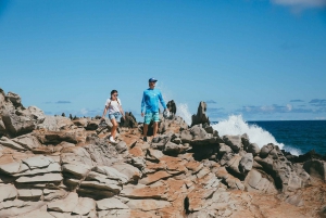 Lahaina: West Maui eBike Rental