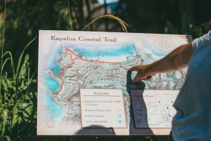 Lahaina: West Maui eBike Rental