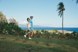 Lahaina: West Maui eBike Rental