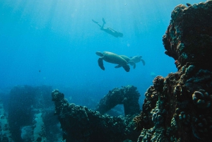 Сноркелинг и парусная прогулка у побережья Ланаи (отправление из Лахайны)