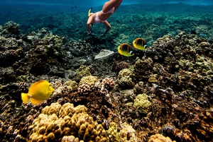 Сноркелинг и парусная прогулка у побережья Ланаи (отправление из Лахайны)