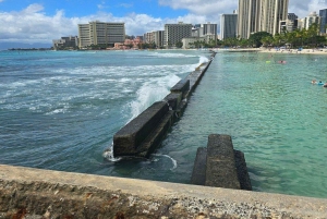 Lemon Rd: Прокат самокатов Вайкики Lanikai & Kailua Beach Ride