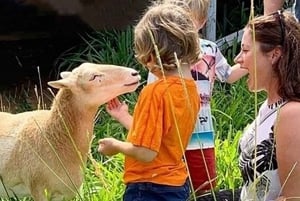 Laupahoehoe: Excursão Privada ao Santuário de Animais de Fazenda