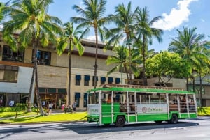 LeaLea Trolley 7 Line + Waikiki Trolley Pink Line 7 day Pass