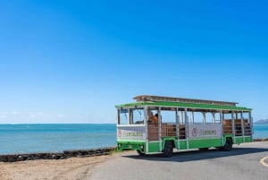 LeaLea Trolley 7 Line + Waikiki Trolley Pink Line 7 day Pass