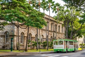 LeaLea Trolley 7 Line + Waikiki Trolley Pink Line 7 day Pass