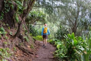 Legendarisk slinga på North Shore i Oahu: Audiovisuell reseguide