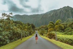 El legendario Bucle de la Costa Norte de Oahu: Guía de audioguía