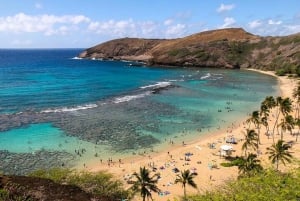 O lendário circuito de North Shore em Oahu: Guia de turismo em áudio