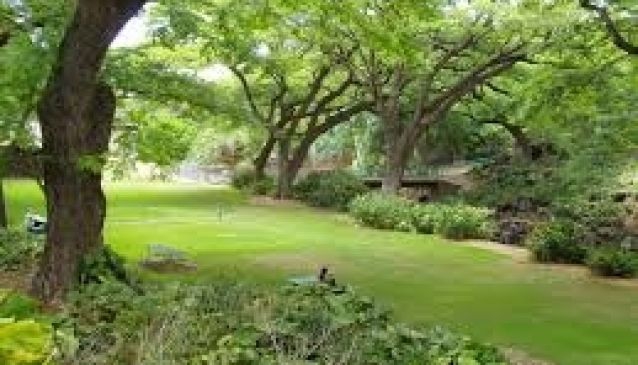 Lili'uokalani Botanical Garden