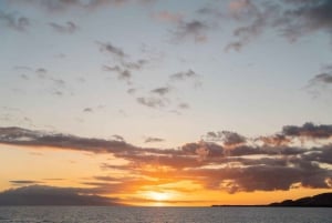 Dîner-voile de luxe Alii Nui Royal au coucher du soleil à Maui