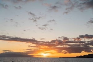 Maui: Luxury Catamaran Alii Kai Royal Sunset Dinner Cruise