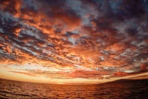 Maui: Luxury Catamaran Alii Kai Royal Sunset Dinner Cruise