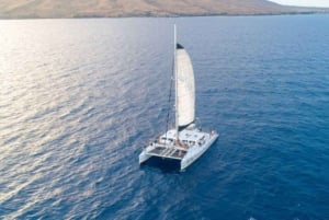 Maui: Luxury Catamaran Alii Kai Royal Sunset Dinner Cruise