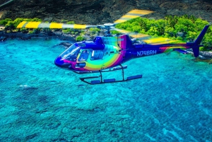 火山と滝での贅沢なピクニック：プライベートヘリコプター