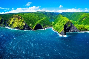 火山と滝での贅沢なピクニック：プライベートヘリコプター