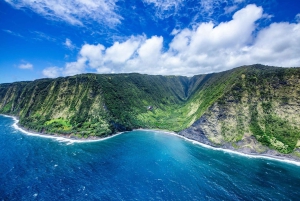 火山と滝での贅沢なピクニック：プライベートヘリコプター