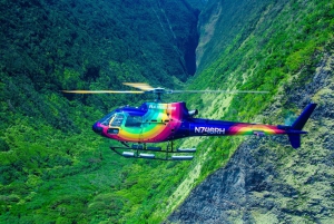 火山と滝での贅沢なピクニック：プライベートヘリコプター