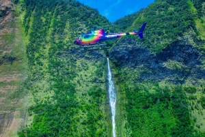 火山と滝での贅沢なピクニック：プライベートヘリコプター