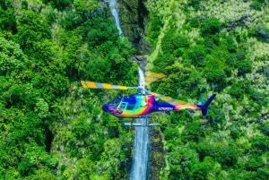 火山と滝での贅沢なピクニック：プライベートヘリコプター