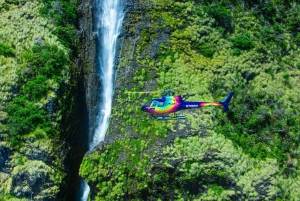 火山と滝での贅沢なピクニック：プライベートヘリコプター