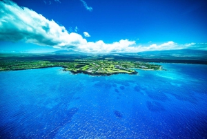 火山と滝での贅沢なピクニック：プライベートヘリコプター